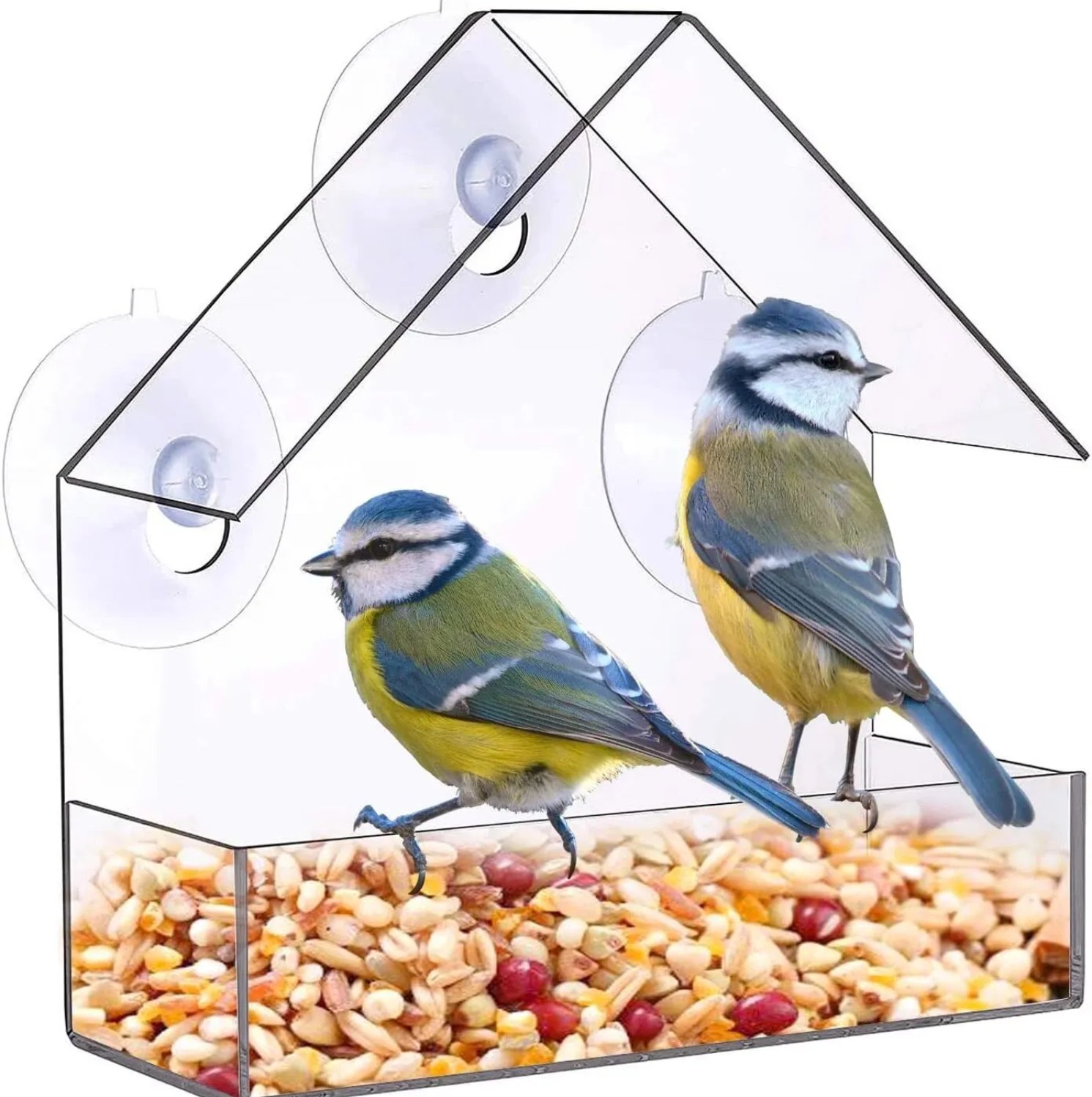 Clear Window Acrylic Bird Feeder
