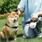 Retractable Dog Leash with Flashlight