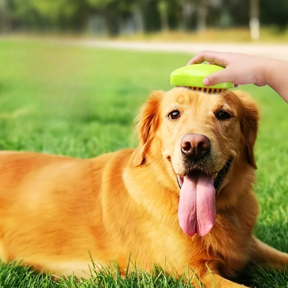 Self-Cleaning Steam Pet Brush