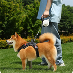 Retractable Dog Leash with Flashlight