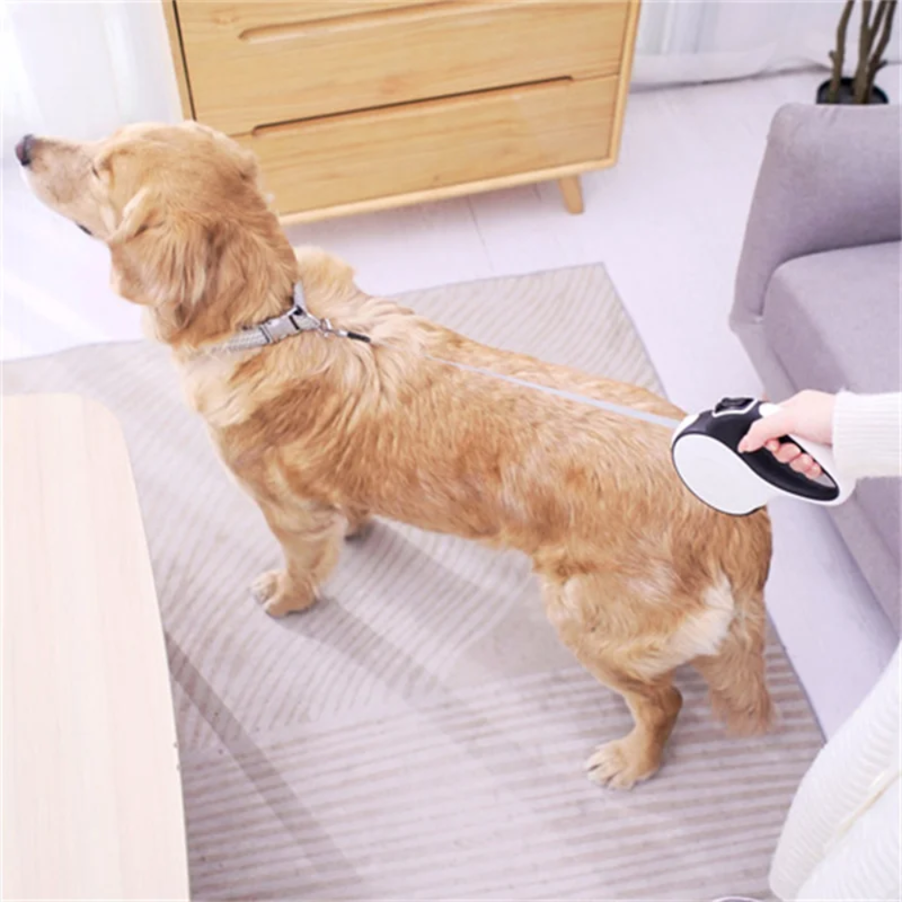 Retractable Dog Leash with Flashlight