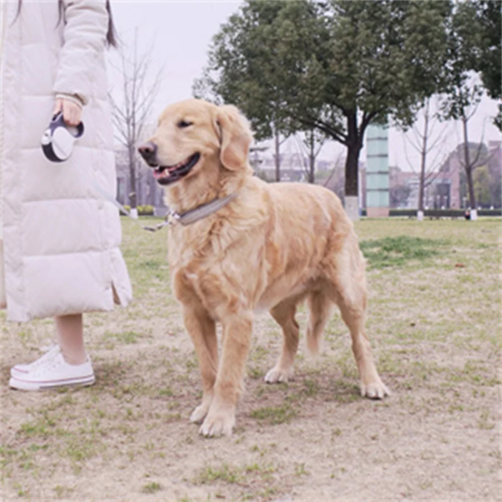 Retractable Dog Leash with Flashlight