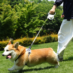 Retractable Dog Leash with Flashlight